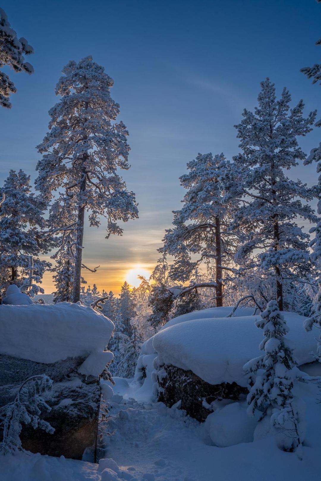 Palojaerven Lomakeskus Villa Sonka Bagian luar foto