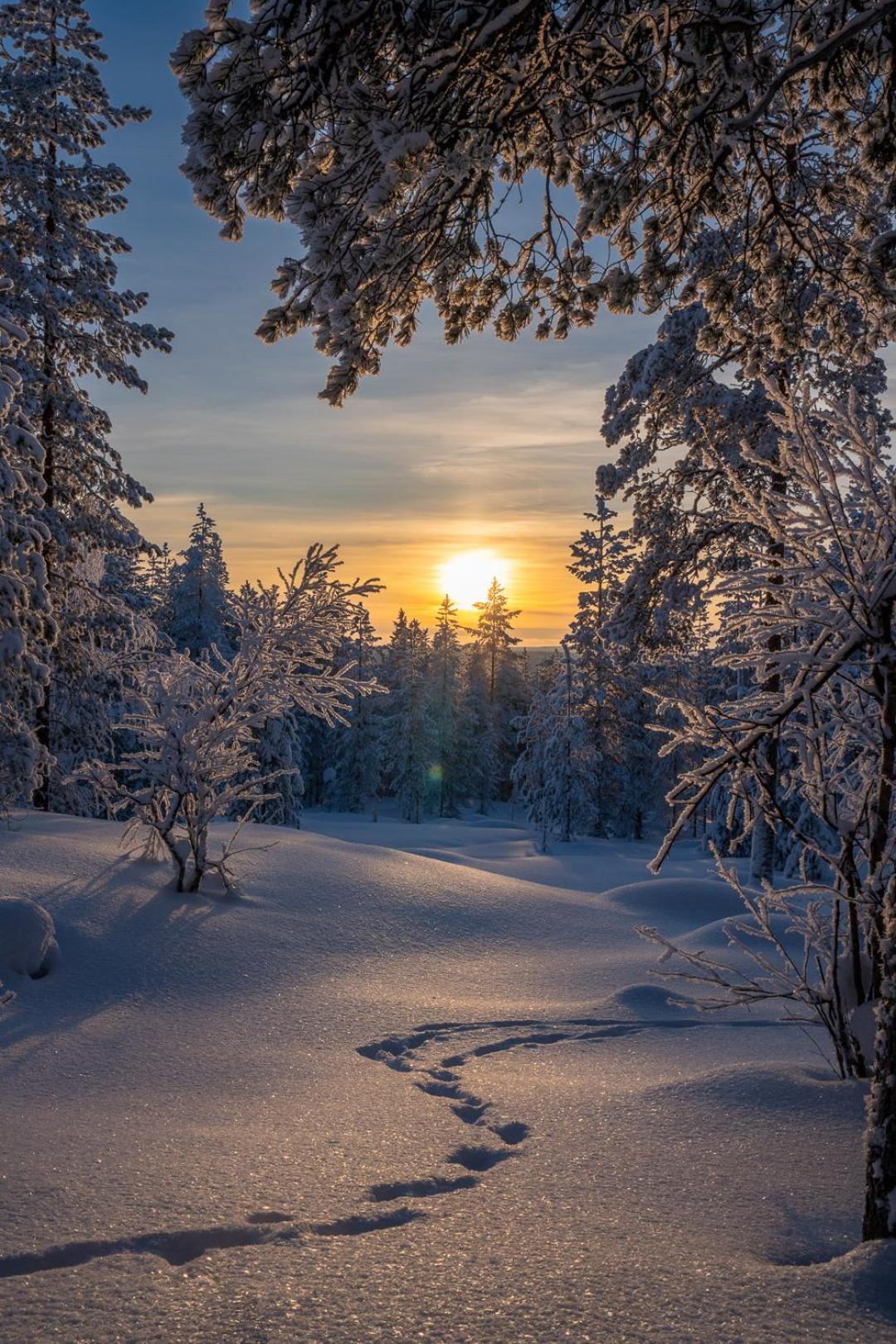 Palojaerven Lomakeskus Villa Sonka Bagian luar foto