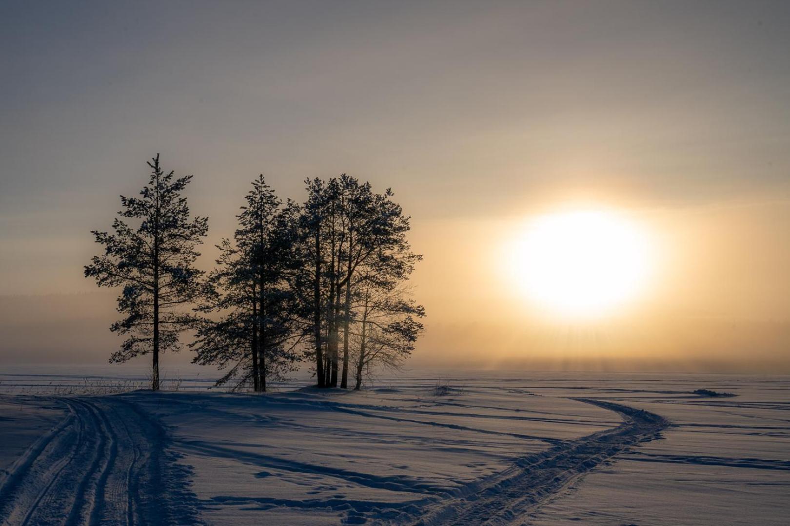 Palojaerven Lomakeskus Villa Sonka Bagian luar foto