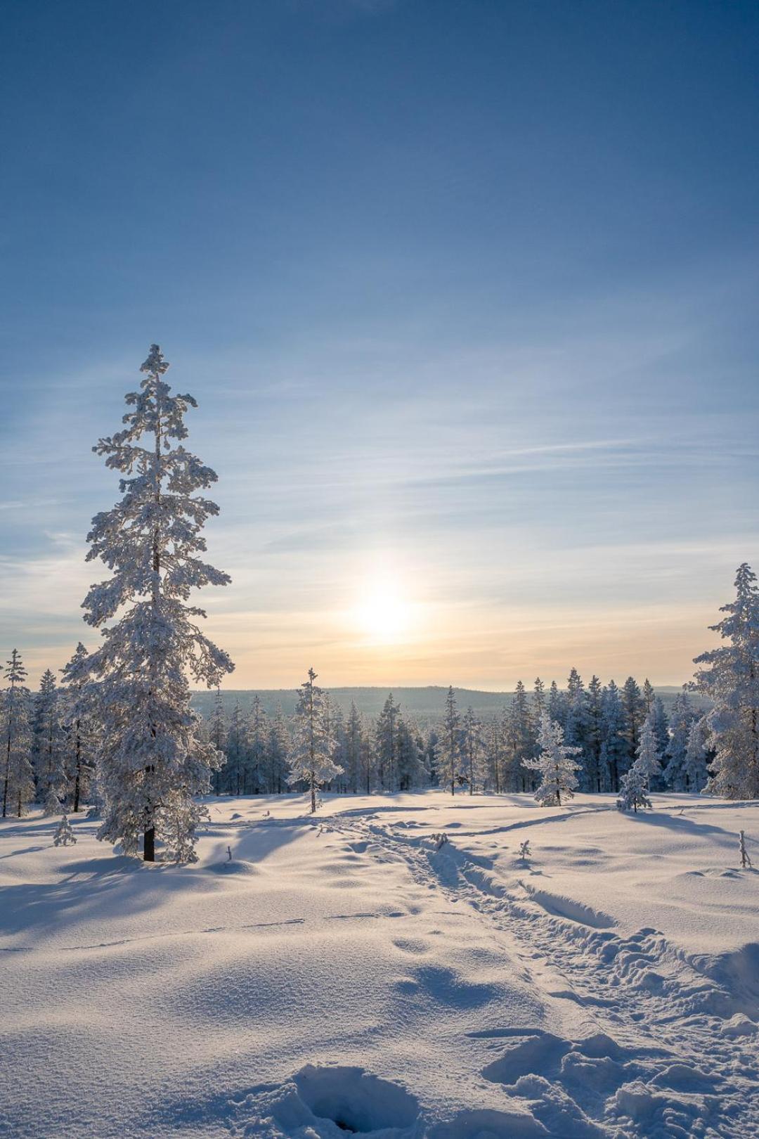 Palojaerven Lomakeskus Villa Sonka Bagian luar foto