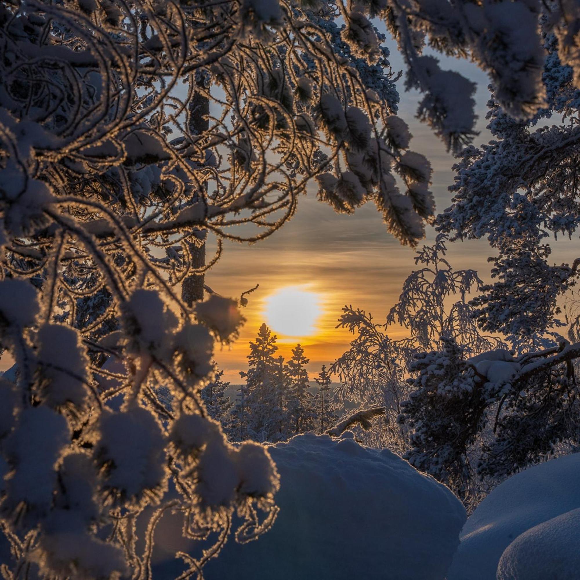 Palojaerven Lomakeskus Villa Sonka Bagian luar foto